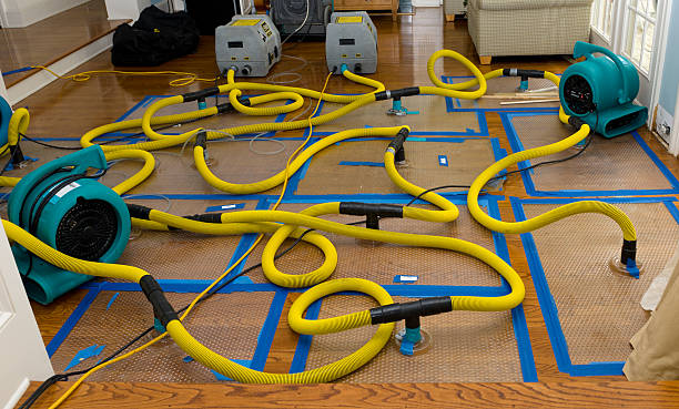 Professional Basement Flood Cleanup technician working in Tornado, WV